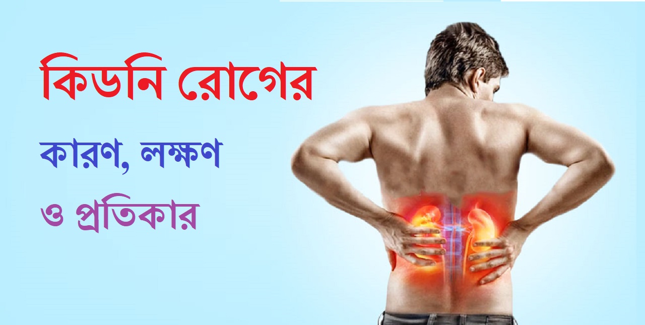 কিডনি রোগের কারণ