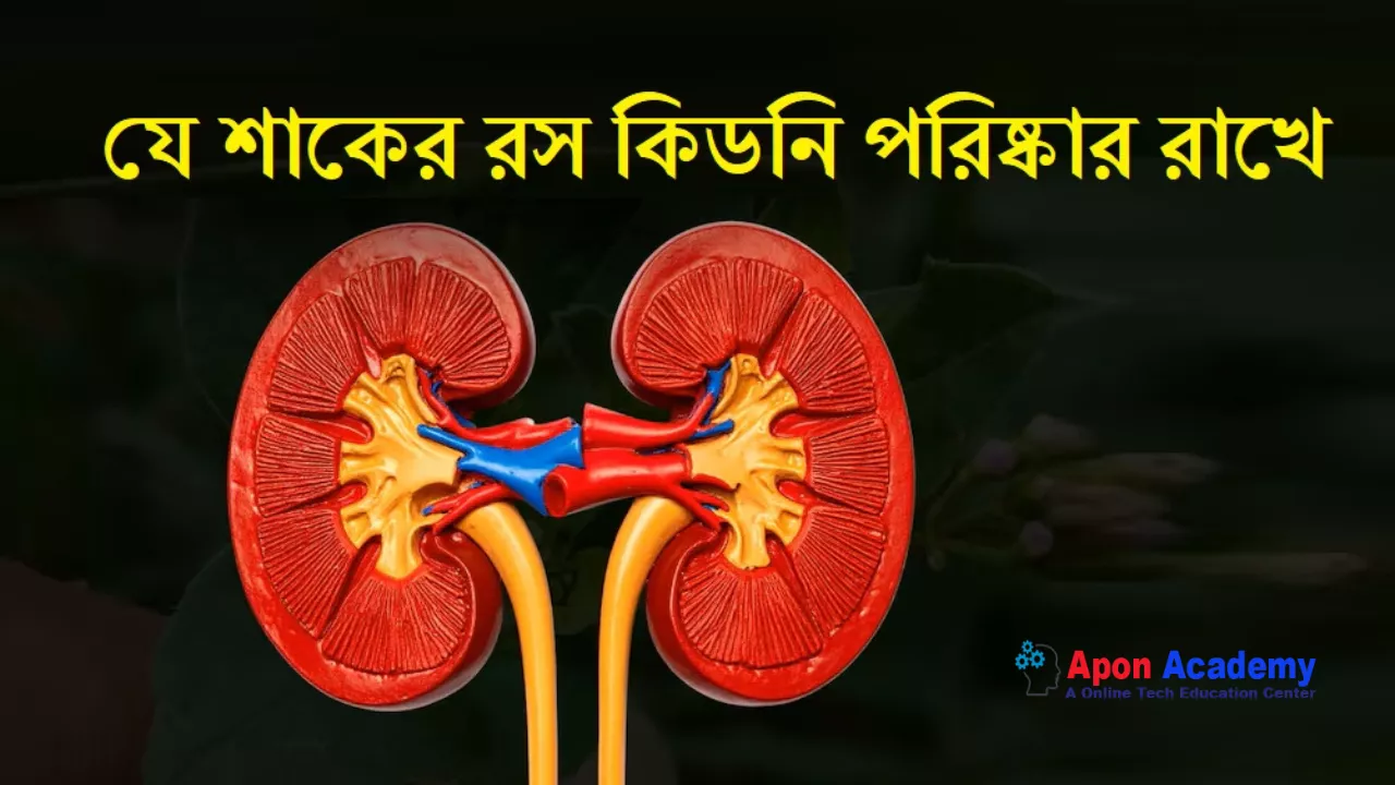 Kidney Problem